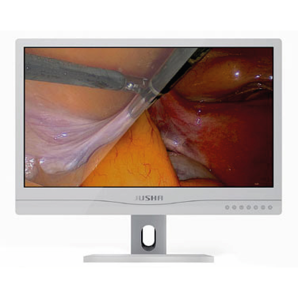 Monitor Cirúrgico Colorido E240AG