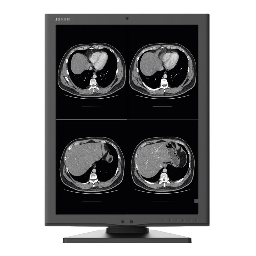 Monitor Monocromático M260G