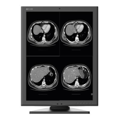 Monitor Monocromático M260G